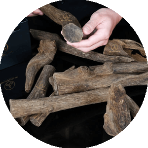 Tuổi trầm